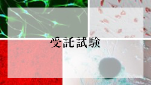受託試験